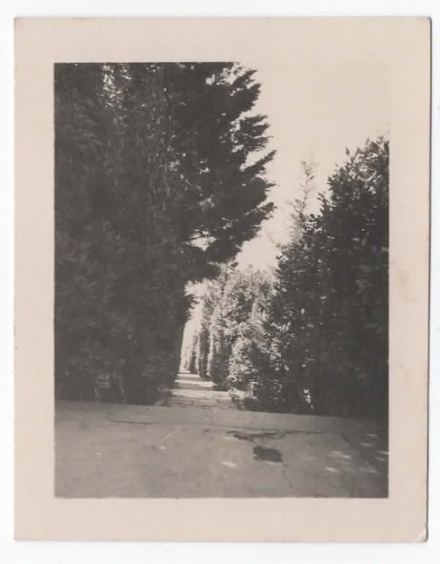 Path top (September 1935)